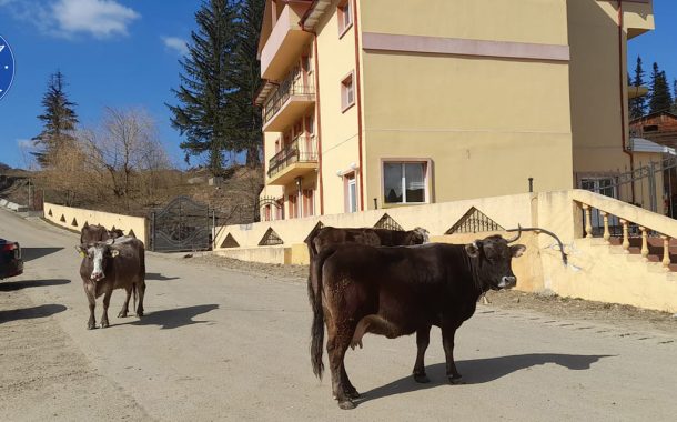  ANUNȚ IMPORTANT PENTRU CRESCĂTORII DE ANIMALE